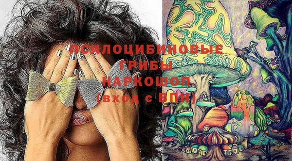 бутират Арсеньев