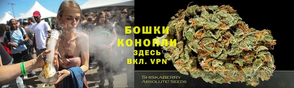 твердый Осташков